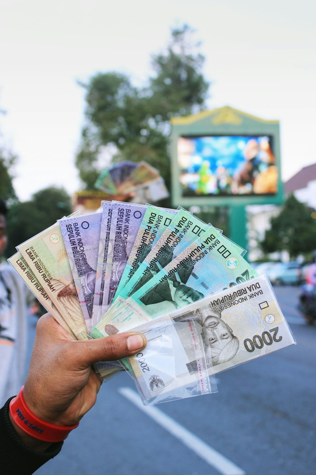 person-holding-fan-of-banknote-peh5xbgei7g